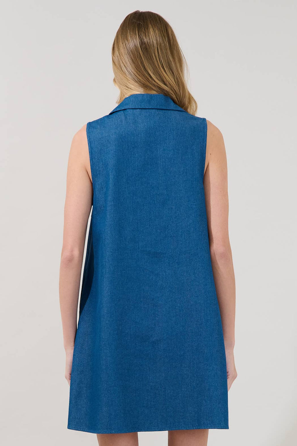 Lexya Chambray Collared Shift Dress