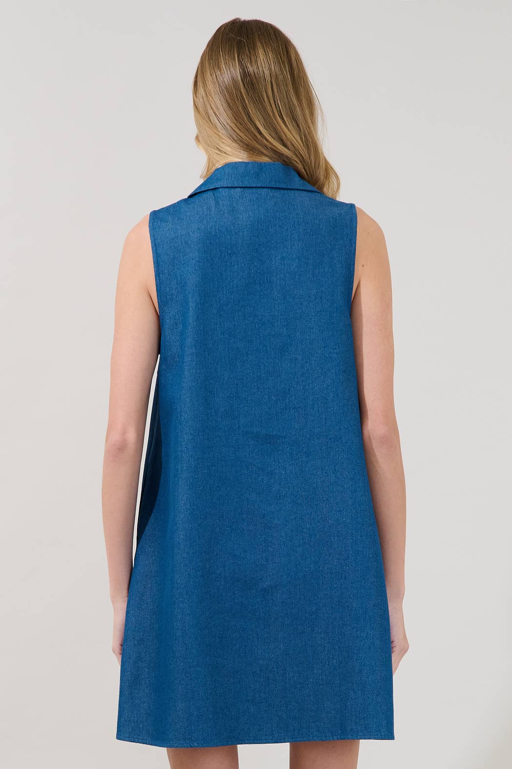 Lexya Chambray Collared Shift Dress
